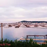 Coquet Au Pied De La Crique De L'anau *